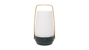 Carnelian 2000