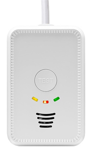 Carbest Gas (LPG) / Kohlenmonoxid (CO) Alarm 12 Volt – 2 in 1 