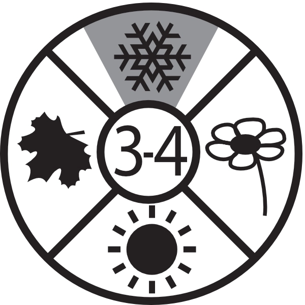 Constellation Lux Green