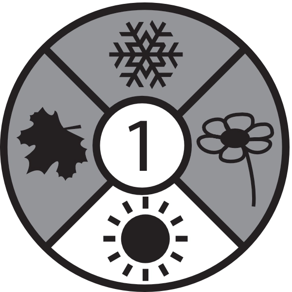 Champ Kids Burnt Red