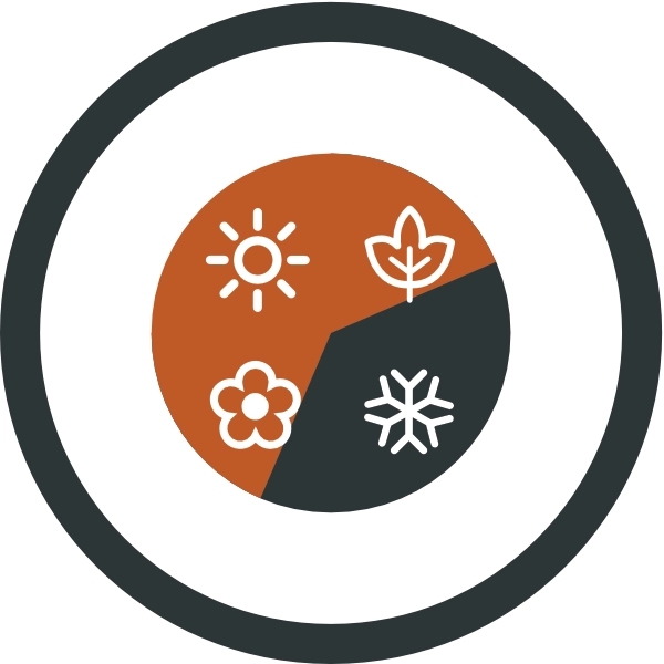 Easy Camp Raven Square Jr.