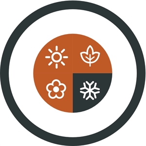 Easy Camp Falcon II Mumie -1°C