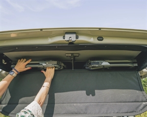 Rambler Forest Green