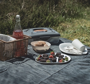 Easy Camp Picknickbox M
