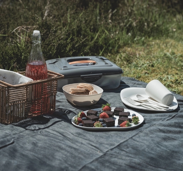 Easy Camp Picknickbox M