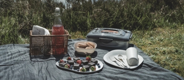 Easy Camp Picknickbox M